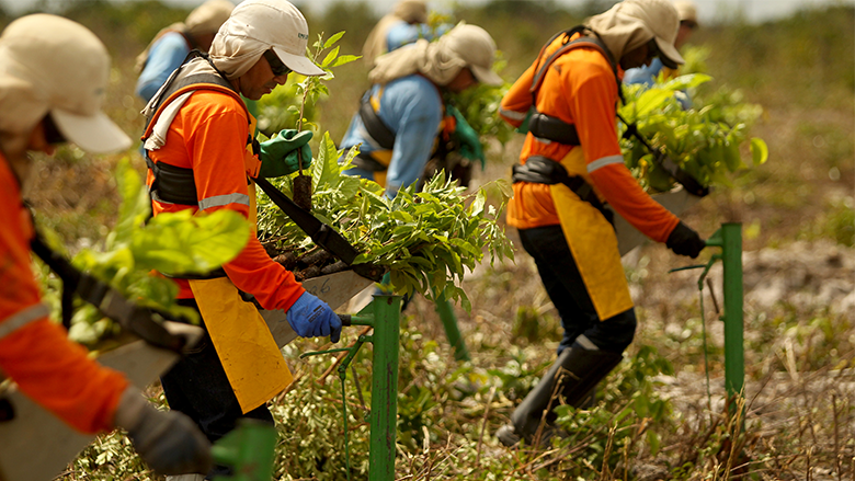 World-Bank-Amazon-bond-feature-story