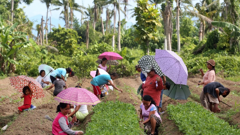Supporting Jobs Growth and Climate Resilience in Philippines